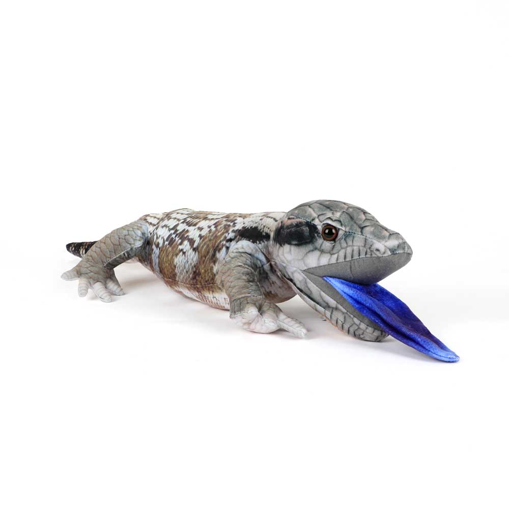 Blue tongue lizard printed plush toy on white background for Australian Museum Shop online