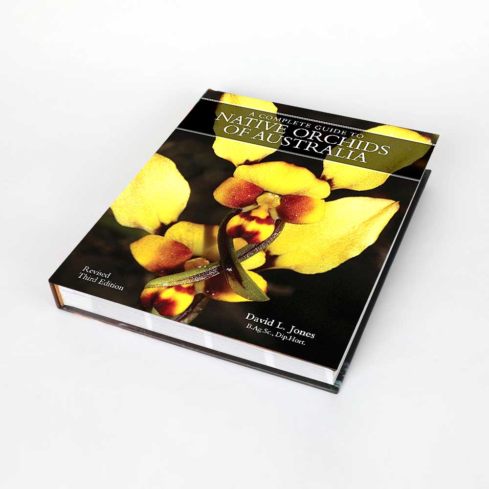 Native Orchids of Australia book on white background