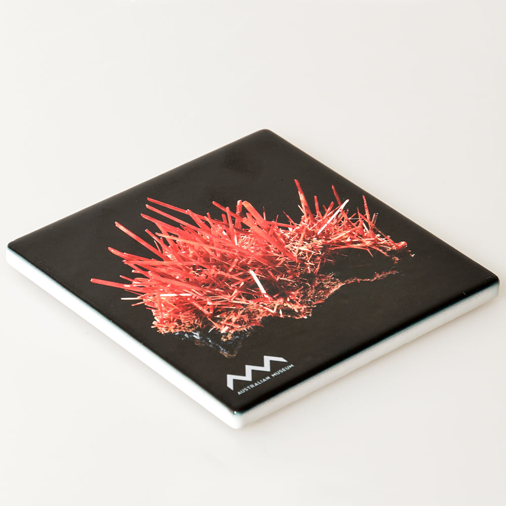 Ceramic coaster featuring a Crocoite specimen, shown in the 200 Treasures of the Australian Museum exhibition